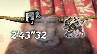 MHR Sunbreak: Furious Rajang Switch Axe solo 2'43"32