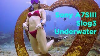 Sony A7S3 Underwater Slog3 Test Ambient Light + STC Filter