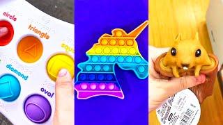 Fidget Toys TikTok Compilation 17