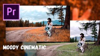 How To Do MOODY ORANGE Cinematic Color Grading In Adobe Premiere Pro | In Just A Minute