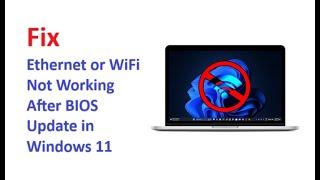 Ethernet or WiFi Not Working After BIOS Update in Windows 11