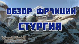 Краткий обзор фракции Стургия в Mount & Blade Bannerlord.