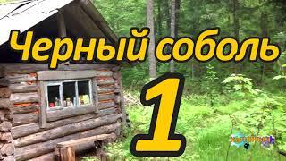 ТАЙГА.  Черный соболь 1 из 7