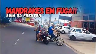 OS MANDRAKES NA FUGA (edição 071)