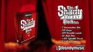 The Shady Secret Vol 1 - Eminem Construction Kits - Loops - Drumkit - Midi & Sylenth1 Presets