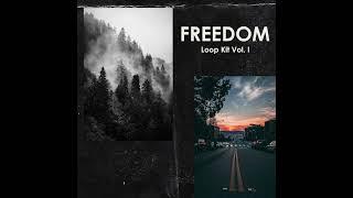 [FREE] Live Acoustic Guitar Loop Kit | Freedom Loop Kit Vol. I