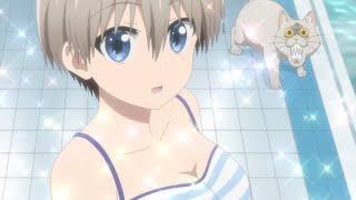 Swimming!! || Uzaki-chan wants To Hang Out 2nd!!
