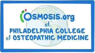 Osmosis.org at Philadelphia College of Osteopathic Medicine in Pennsylvania