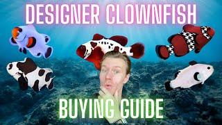 Designer Clownfish - The Guide to Getting the Coolest Clowns for Your Tank!