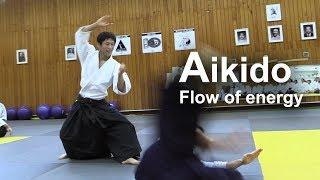 Aikido Flow of energy Morote Dori - Shirakawa Ryuji shihan