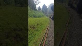 Ooty train journey | Himalayan Railway  #ooty #train #ootytrip #toytrain