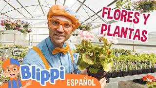 Blippi aprende sobre plantas| Blippi Español | Videos educativos para niños | Aprende y Juega