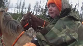 Elk hunting in the Medicine Bow National Forest, Wyoming