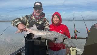 Napa River Sturgeon Fishing Adventure - 130 lbs?