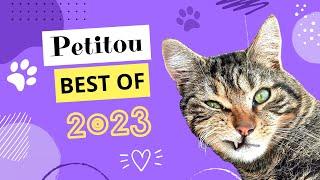 Petitou Best OUF 2023