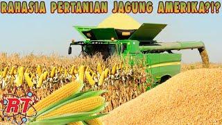 ADVANCED AGRICULTURAL TECHNOLOGY MODERN CORN AGRICULTURE PROCESSES IN AMERICA