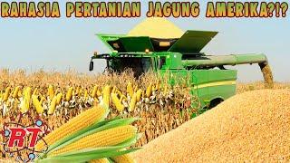 TEKNOLOGI PERTANIAN TERCANGGIH   PROSES PERTANIAN JAGUNG MODERN DI AMERIKA