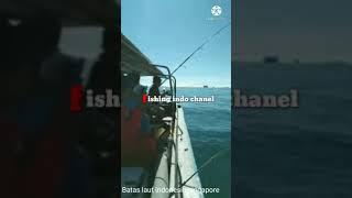 mancing ambyar cantik || perbatasan indonesia-singapore