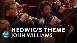 John Williams - Hedwig's Theme (Harry Potter) | Funkhausorchester 