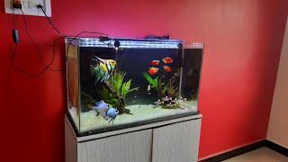 Angel fish and Ram Cichids Tank Setup | Aquascape 2.5 feet Planted Aquarium |