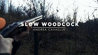 SLOW WOODCOCK | Caccia alla Beccaccia