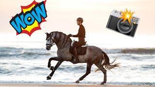 HORSE PHOTOGRAPHER VS FASHION PHOTOGRAPHER