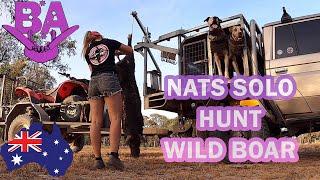 NATS SOLO HUNT - HUNTING WILD HOGS & STARTING OUR NEW DOG GIRL
