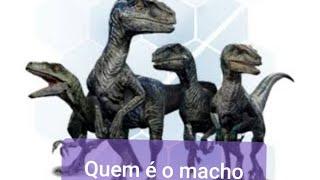 Quem é o velociraptor macho do Esquadrão raptor? E quais são as fêmeas?