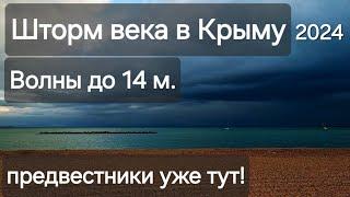 Шторм века надвигается на Крым, волны до 14 метров! Это реально? Крым готов? 2024.