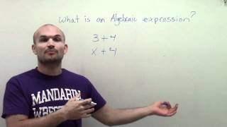 What is an algebraic expression