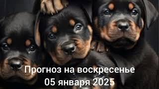 2025.01.05  Ежедневная рубрика Астрологический прогноз.  #астропрогноздлявсех #гороскоп #бацзы 