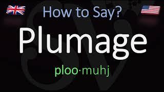 How to Pronounce Plumage? (CORRECTLY) Meaning & Pronunciation