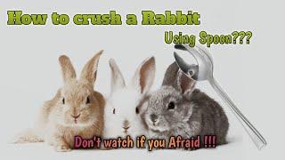 How to Crush a Rabbit | Rabbit Butcher