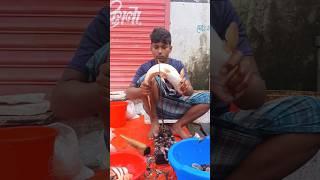 Amazing Pangash Fish Cutting Skills #ytshorts#shorts_videos  #Fish Cutting 