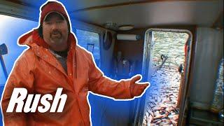Herring Fishing Boat Catches So Much Fish It Almost Sinks! | Bristol Bay Brawl