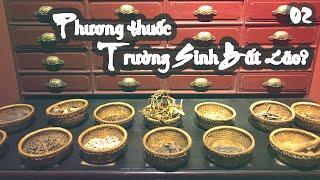 Phương thuốc trường sinh bất lão - Fito Museum | Phần 2