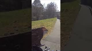 typisch Heidebiker