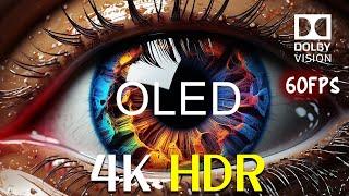 4K HDR Color Test Dolby Vision 60FPS | Breath-taking CLARITY