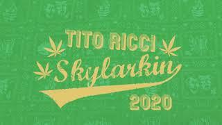 Tito Ricci - Skylarkin' 2020 (Official Audio)