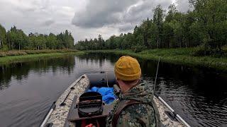 РЫБАЛКА В КАРЕЛИИ. ЛУЧШАЯ ЛОДКА ПВХ Stormline Expedition. КАК ЛОВИТЬ ОКУНЯ НА ТАЁЖНОЙ РЕКЕ.