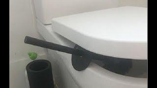 Подруга всегда подвешивает туалетный ершик над унитазом: хитрый лайфхак, которым пользуюсь и я