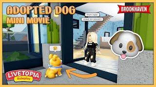 ADOPTED DOG  - Sad Livetopia / Brookhaven Mini Movie  // Hxyila
