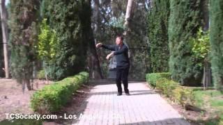 Yang Tai Chi Chaun Los Angeles - Tai Chi In Santa Monica