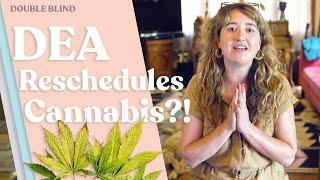 DEA Rescheduling Cannabis? | DoubleBlind