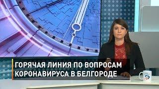 Горячая линия по вопросам коронавируса в Белгороде