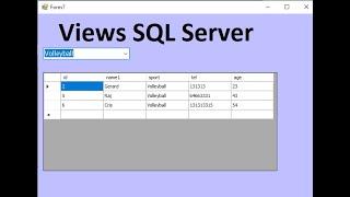 Programming VB.net: filter datagridview with combobox using Views sql server