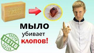 Как хозяйственное МЫЛО убивает КЛОПОВ (эксперимент)