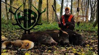 Traumdrückjagd! Hunt on Demand Free Episode - Hunter Brothers