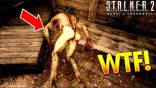 S.T.A.L.K.E.R. 2 Funny and Epic WTF Moments 24