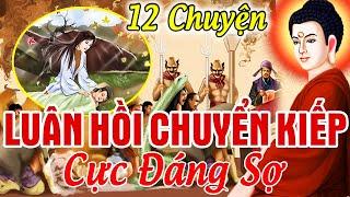 12 Chuyện Nhân Quả Báo Ứng Hay Nhất 2023, Về LUÂN HỒI CHUYỂN KIẾP - Đầu Thai Đọa Làm Súc Sinh ..